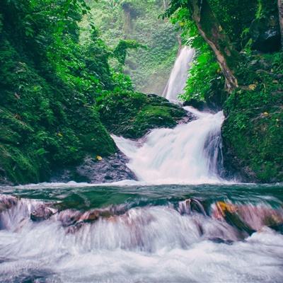 木灵宝贝官方版下载